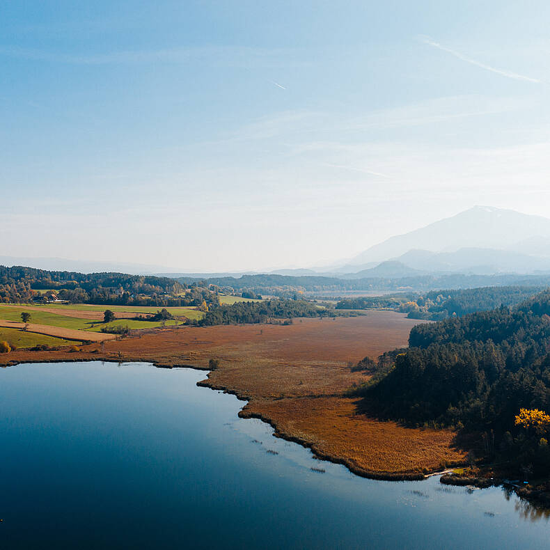 Suedkaernten Landschaft Turnersee Schilf Herbst