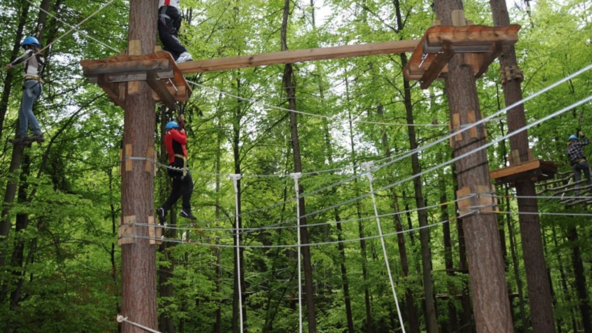 Waldseilpark Taborhoehe